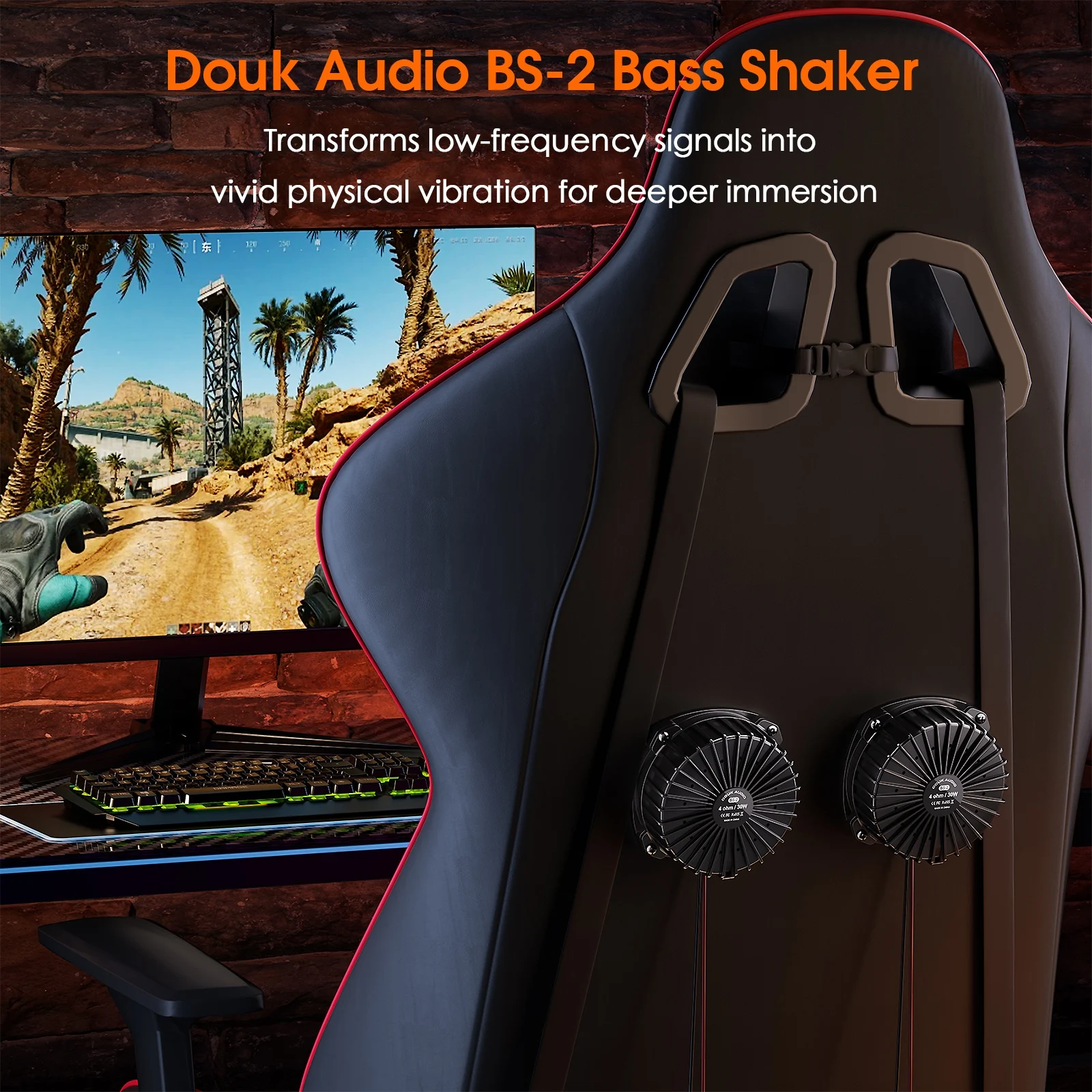 Douk Audio BS-2 30W 4Ω Bass Sh - огляд і ціна Home Cinema Diy