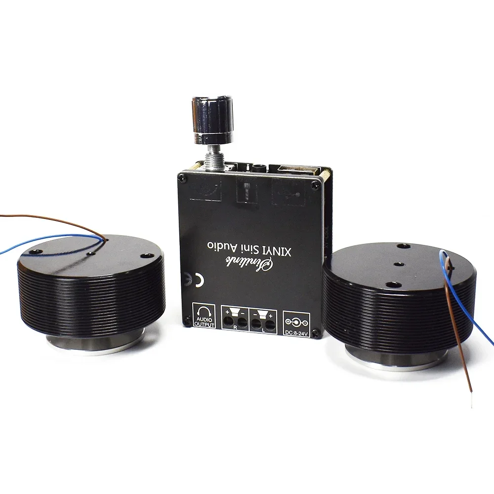 1 Set 50W 2.0 HIFI Vibration S - огляд і ціна Home Cinema Diy