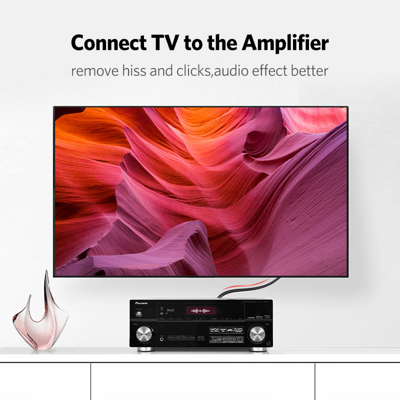 UGREEN 2RCA to 2 RCA Male to M - огляд і ціна Home Cinema Player