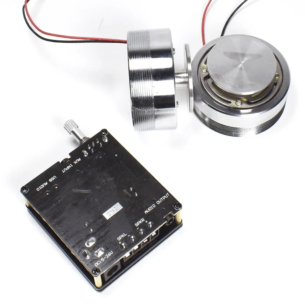 2*25W Portable Stereo Vibratio - огляд і ціна Home Cinema Diy